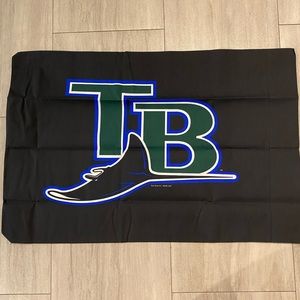 Brand new Tampa Bay Ray pillow cases (x2)